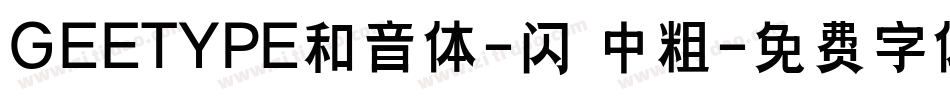 GEETYPE和音体-闪 中粗字体转换